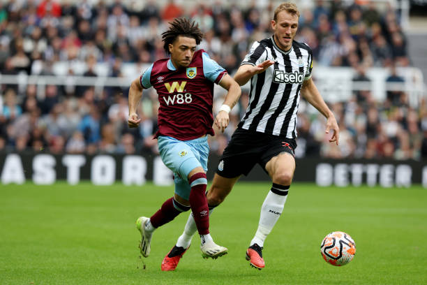 能够展现出 能够展现出