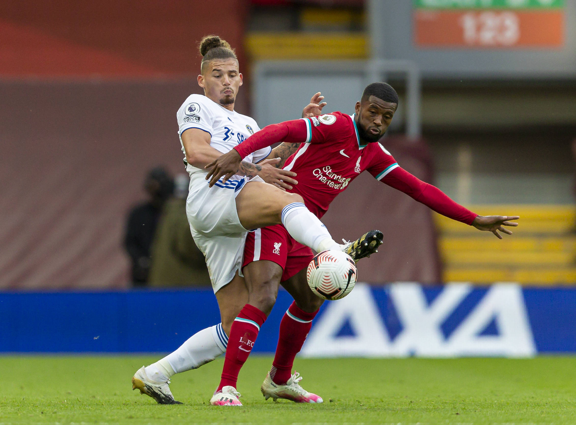 不仅仅是为 不仅仅是为